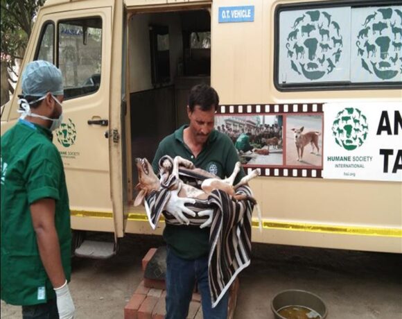 Animal Mobile Operating Room - Animal Welfare Charitable Trust