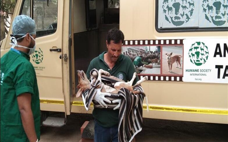 Animal Mobile Operating Room - Animal Welfare Charitable Trust